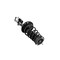 Fcs Struts COMPLETE STRUT ASSEMBLY 1333717L - alternate 5
